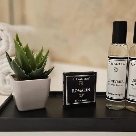 Mini T2 Climatisee, Vue Mer, Cosy & Moderne *