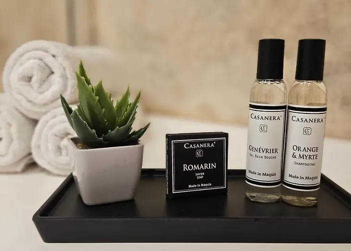 Mini T2 Climatisee, Vue Mer, Cosy & Moderne *